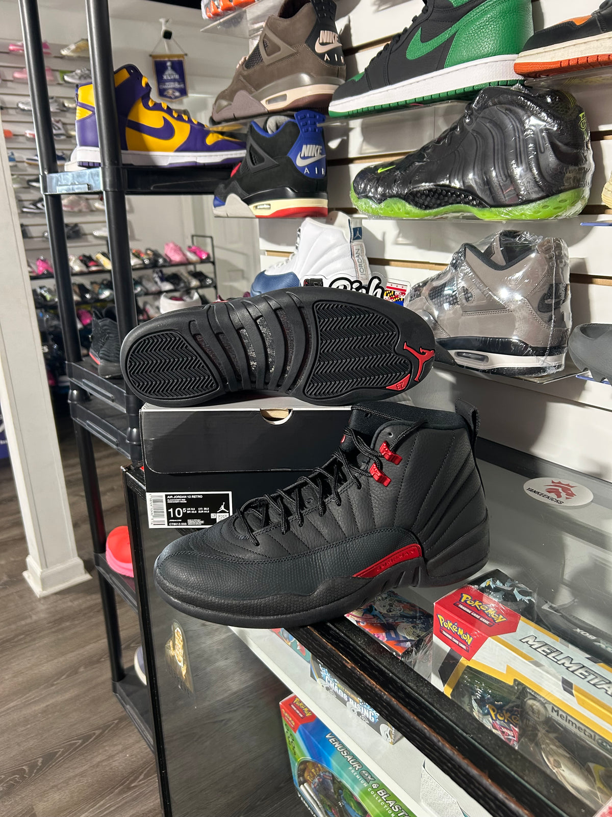 Bloodline 12’s
