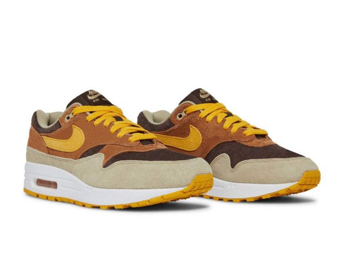 Air Max 1 ‘Ugly Duckling’