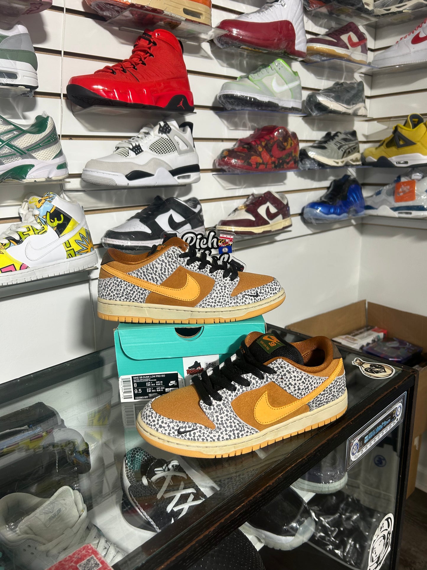Safari SB’s