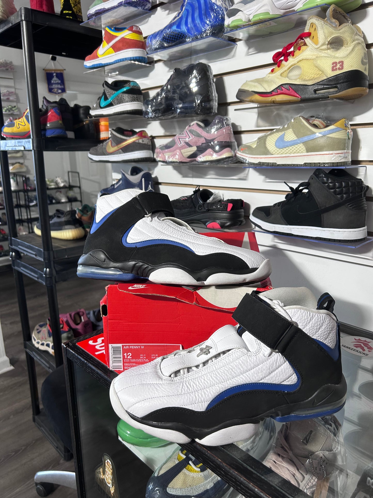 Penny IV ‘Orlando Home’