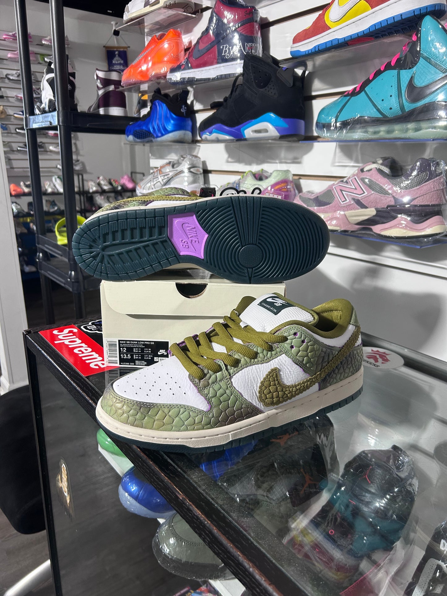 Alexis Sablone Chameleon SB’s